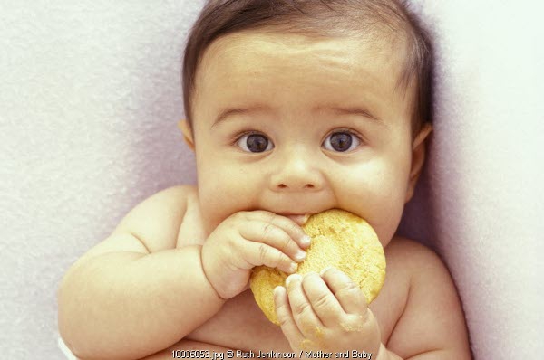 Probiotics & Prebiotics Pada Makanan Bayi