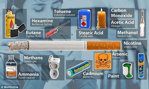 Nikotin merupakan zat berbahaya yang sanggup ditemukan pada