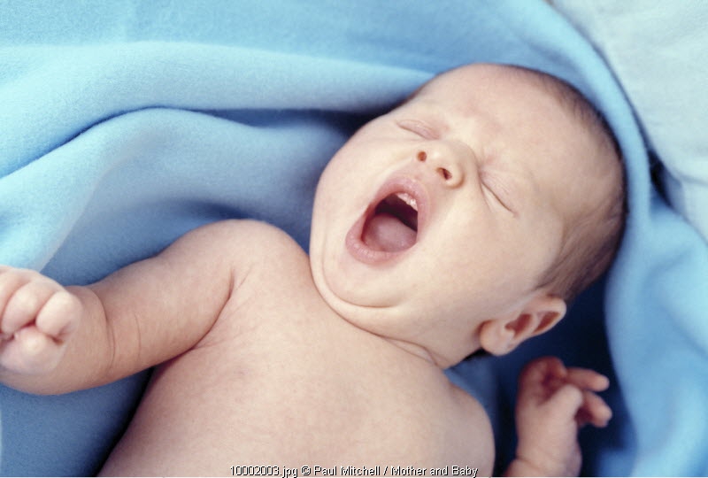6 Hal Tentang Bayi yang Belum Anda Ketahui