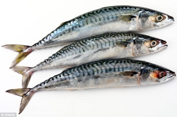 Ikan Menurunkan Risiko Peradangan Sendi
