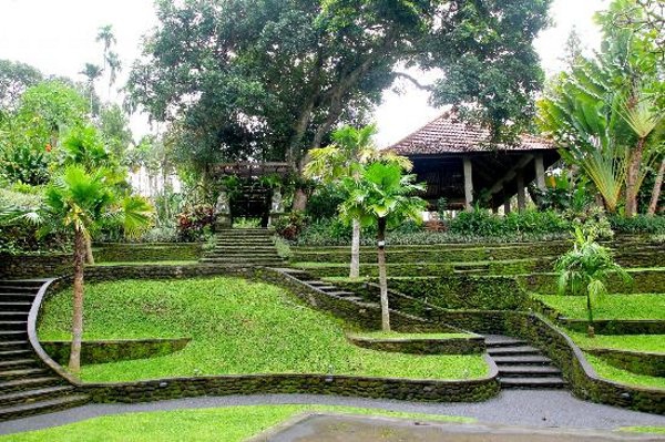 Tanah Ubud, Si 'Obat Penenang' 