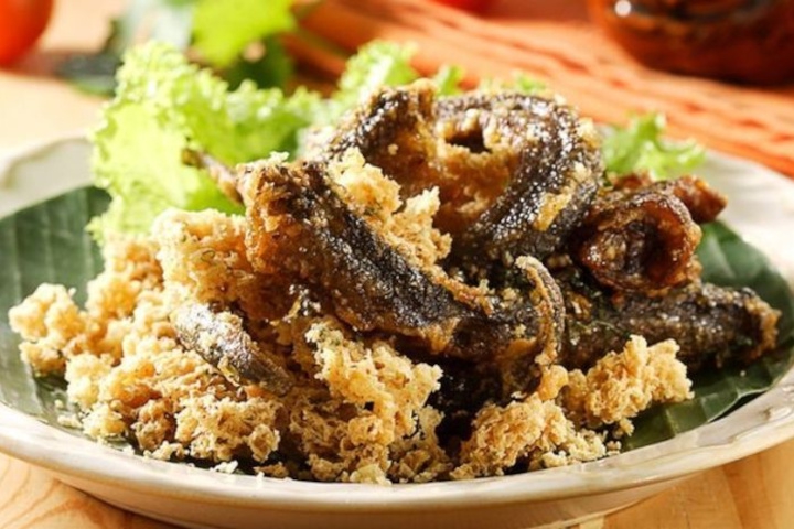 Manfaat Belut untuk Ibu Hamil dan Aturan Makannya