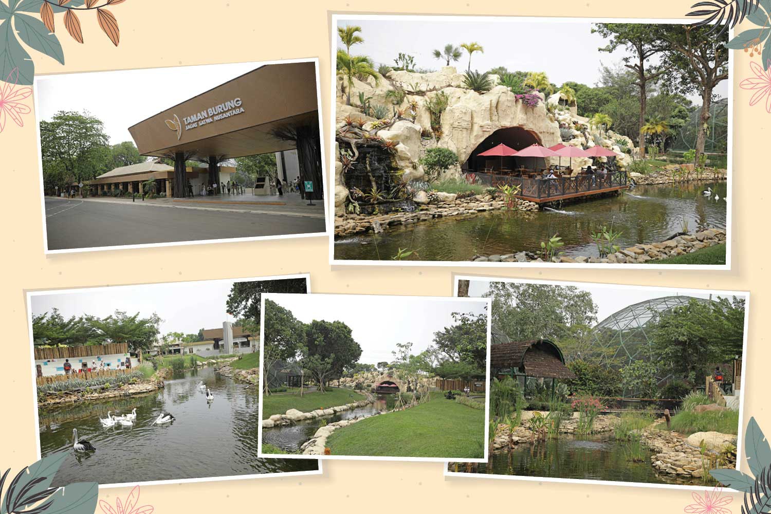 Taman burung, jagat satwa nusantara TMII