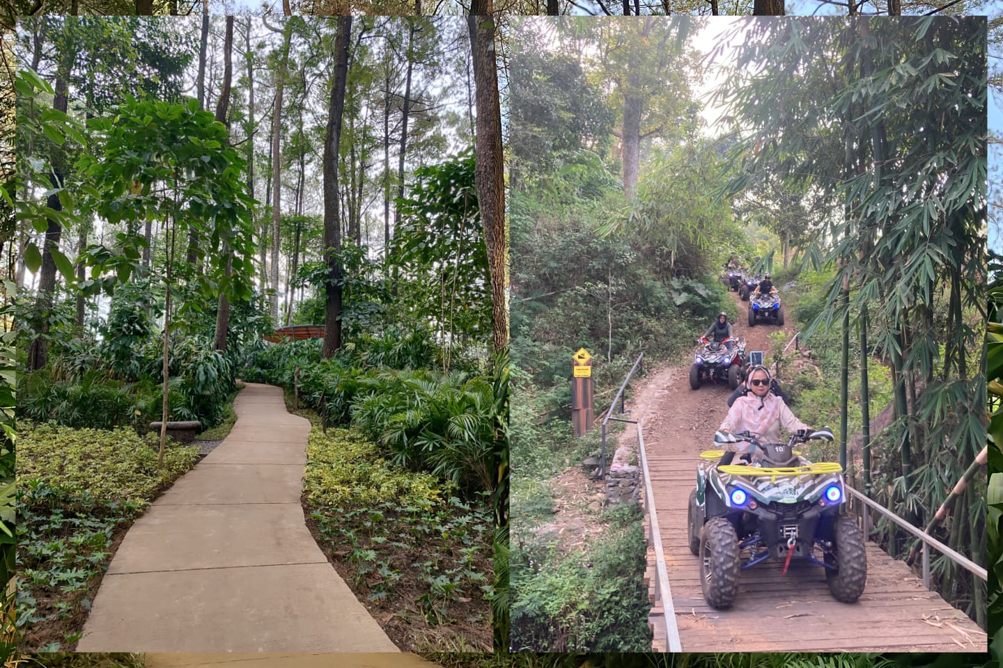 Mulai dari Healing Hingga Pacu Adrenalin, Ini Aktivitas Seru Terbaru di Taman Safari Prigen