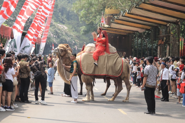 Rayakan HUT RI ke-80, Taman Safari Bogor Gelar "The Forest Carnival", Parade Satwa Edukatif