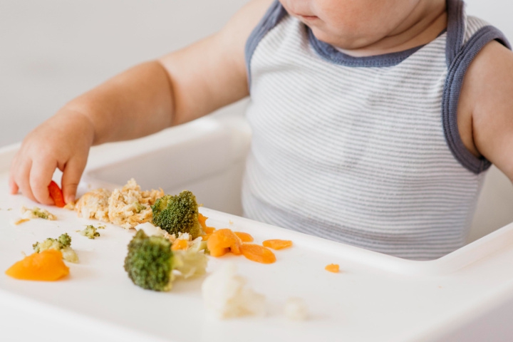 7 Makanan Bayi yang Tinggi Kandungan Zat Besi