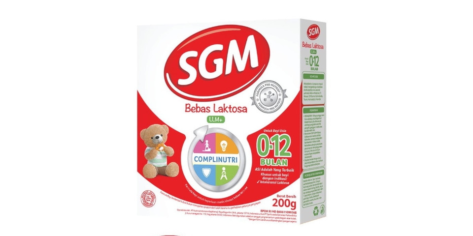 SGM LLM