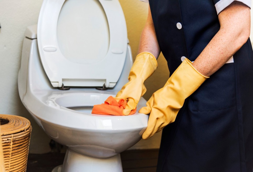 Tak Perlu Bingung, Ini 5 Cara Mengatasi WC Mampet