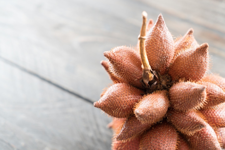 Apakah Ibu Hamil Boleh Makan Salak? Temukan Fakta dan Nutrisinya