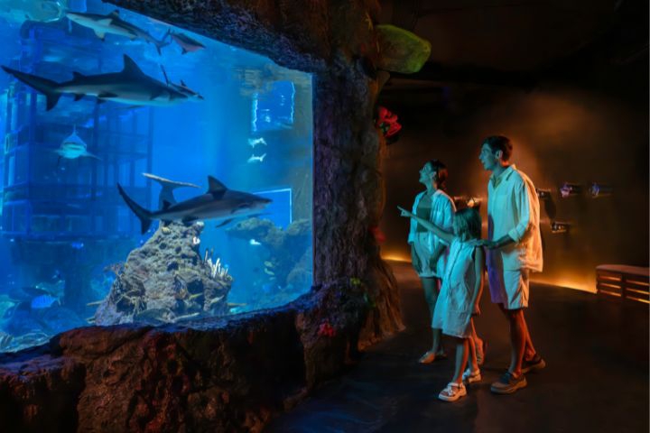 Marine Safari Bali, Tempat Rekreasi Sekaligus Edukasi Seluruh Keluarga