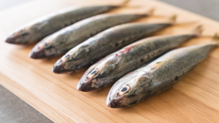 Manfaat Ikan Kembung untuk Ibu Hamil, Amankah Dikonsumsi Setiap Hari?