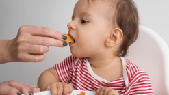 Porsi Makan Anak 1 Tahun: Cara Efektif agar Nutrisi Si Kecil Terpenuhi