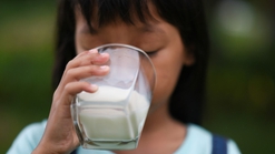 Susu untuk Anak Stunting, Kenali Kriteria dan Jenisnya yang Tepat