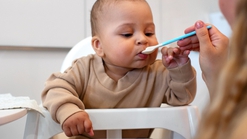 5 Resep Nasi Tim Bayi Sederhana dan Bergizi untuk Dukung Tumbuh Kembang Si Kecil