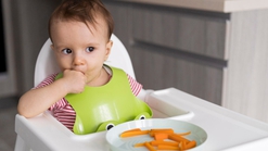 Panduan Baby Led Weaning Lengkap untuk Ibu Baru