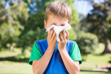 Kenali Sinusitis Dan Cara Menanganinya