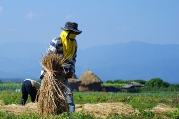 World Food Day Perangi Kelaparan dan Malnutrisi