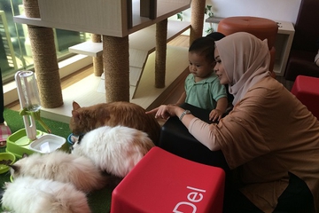 Bersantai di Kafe Kucing