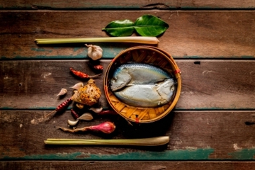 Boleh Tidak Ibu Hamil Makan Ikan?