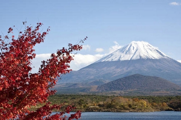 Destinasi yang Wajib Dikunjungi di Jepang