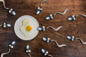 Makanan Sehat untuk Sperma