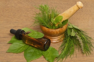 6 Khasiat Tea Tree Oil