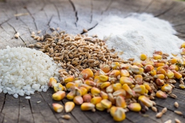 Diet Bebas Gluten