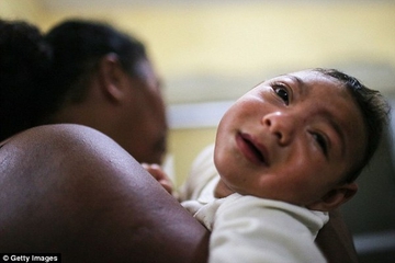 Waspada! Virus Zika Ditemukan di Bali