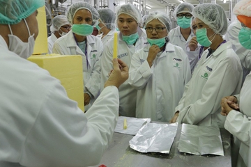 Begini Caranya Keju Olahan Diproses