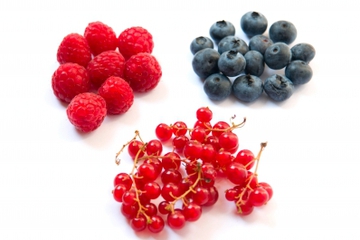 Aneka Khasiat Buah Berry