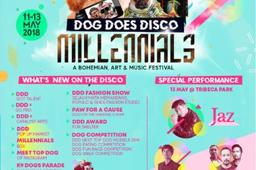 Dog Does Disco, Millennials