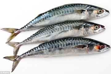 Ikan Menurunkan Risiko Peradangan Sendi