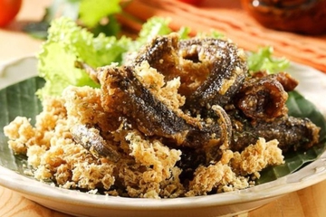 Kaya Kandungan Nutrisi, Ini Manfaat Belut untuk Kesehatan