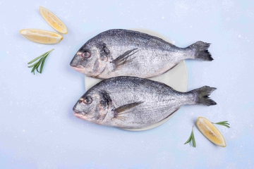 Jenis Ikan yang Tidak boleh Dimakan Setelah Operasi Caesar