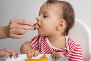 Porsi Makan Anak 1 Tahun: Cara Efektif agar Nutrisi Si Kecil Terpenuhi