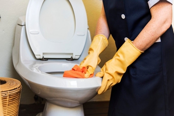 Tak Perlu Bingung, Ini 5 Cara Mengatasi WC Mampet
