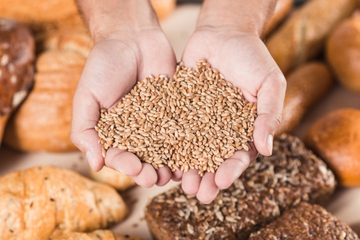 Ciri-Ciri Alergi Gluten dan Cara Mengatasinya