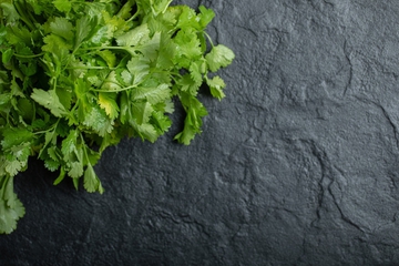 Bukan Cuma Bumbu Dapur, Ini Manfaat Daun Ketumbar untuk Kesehatan