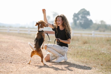 6 Cara Efektif Melatih Anjing agar Patuh Sejak Kecil