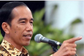 Jokowi jadi Kakek!