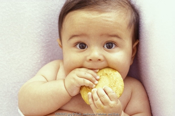 Pro Kontra Baby Led Weaning