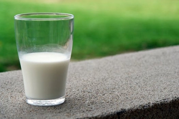 Manfaat Minum Susu Setiap Hari bagi Kesehatan Si Kecil