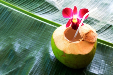 10 Manfaat Buah Kelapa untuk Kesehatan Anda