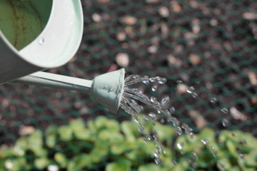 Tips Hemat Air di Rumah