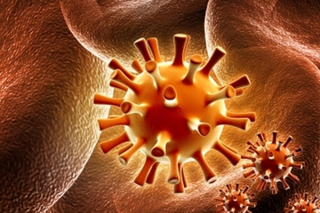 Herpes Akibat Virus Cacar