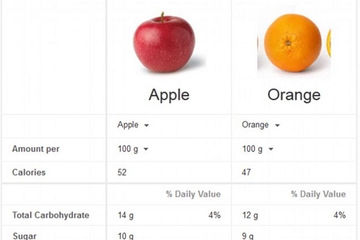 Alat Pencarian Nutrisi Google