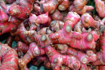 Selain untuk Diet, Inilah Deretan Manfaat Jahe Merah