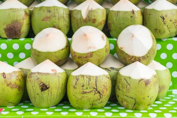 7 Manfaat Minum Air Kelapa Hijau untuk Kesehatan Tubuh Anda