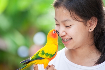 5 Manfaat Hobi Memelihara Burung untuk Kesehatan Anda