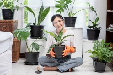 Begini Cara Tepat Merawat Tanaman Hias saat Musim Hujan